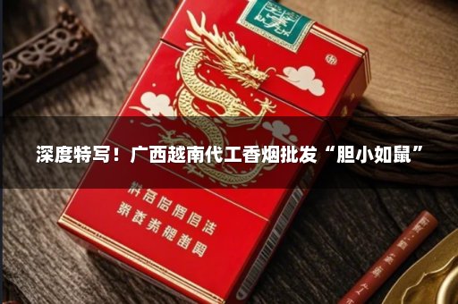 深度特写！广西越南代工香烟批发“胆小如鼠”